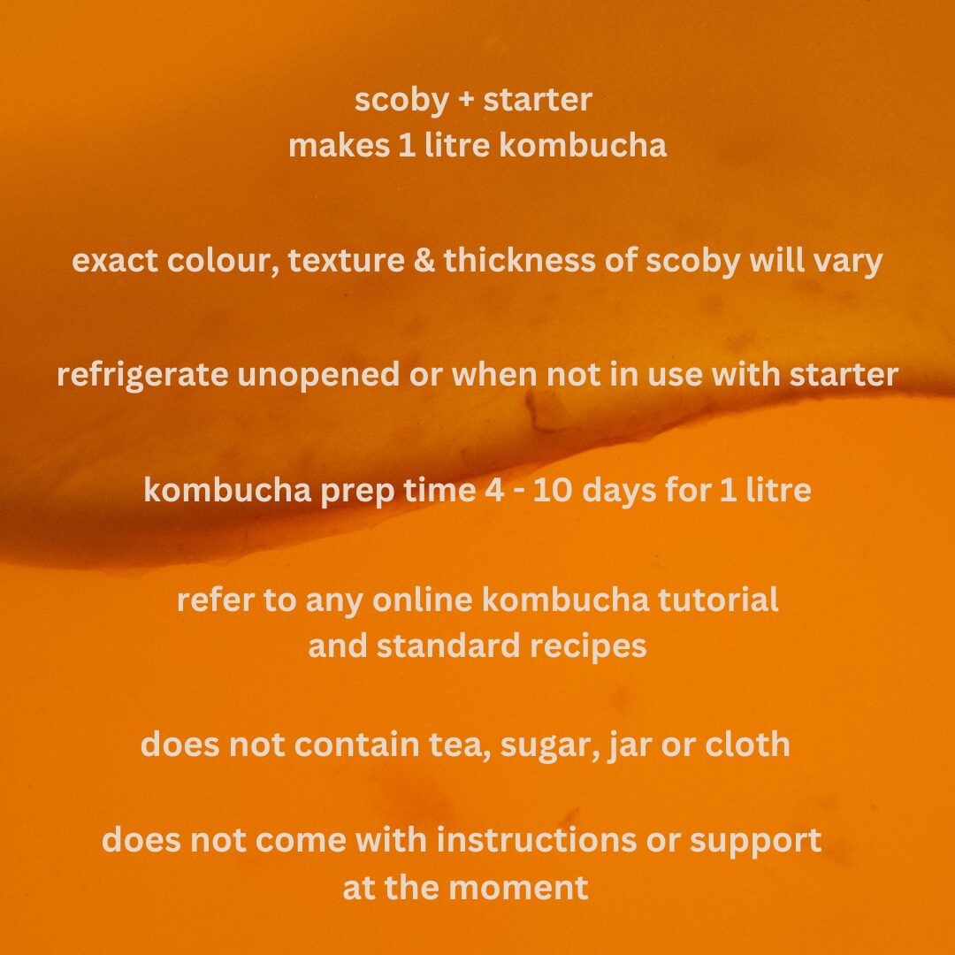 MOTHER SCOBY
