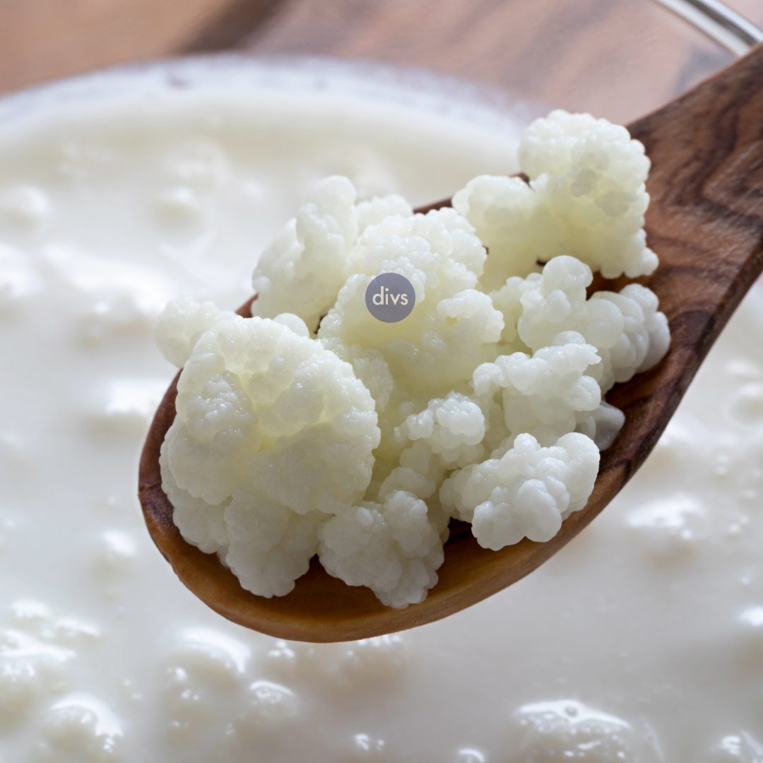 GOAT MILK KEFIR