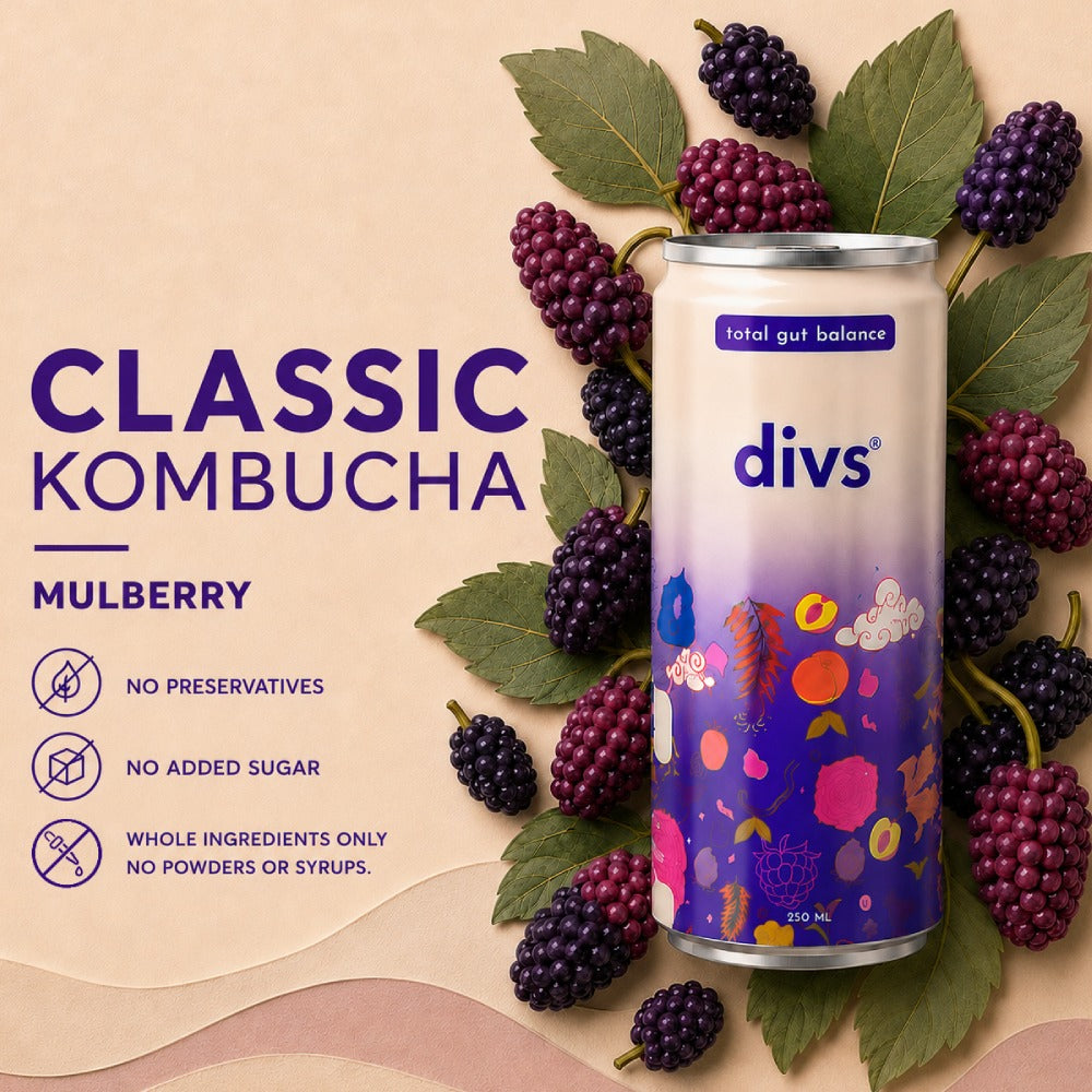 Classic Kombucha mulberry