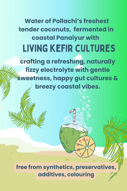 SPARKLING ELANEER • FERMENTED COCONUT WATER