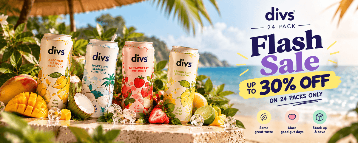 Divs Kombucha 24 Pack Flash Sale – up to 30% off on 24 packs only