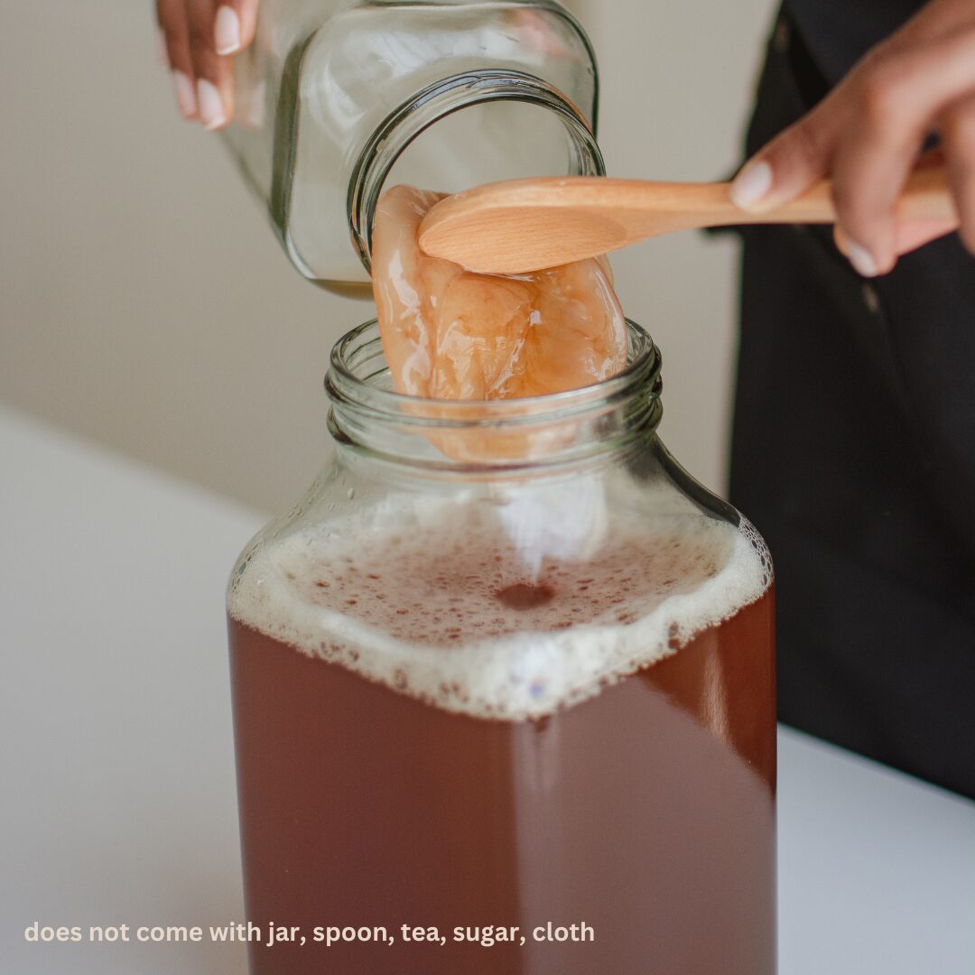 2-1-Mother-Scoby