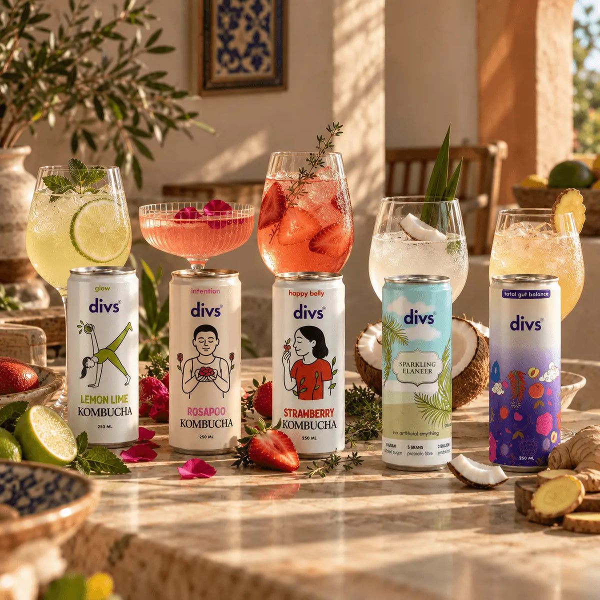 Divs Discovery Pack – Strawberry, Lemon Lime and Rosapoo Kombucha, Sparkling Elaneer and Sugar Free Ginger Beer